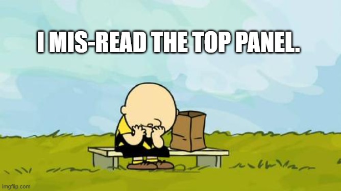 Depressed Charlie Brown | I MIS-READ THE TOP PANEL. | image tagged in depressed charlie brown | made w/ Imgflip meme maker