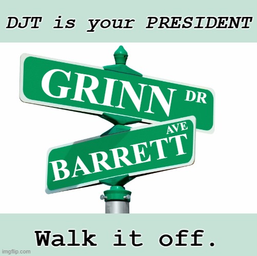 Dear Lefties, whining doesn't help. My advice: | DJT is your PRESIDENT; GRINN; DR; AVE; BARRETT; Walk it off. | image tagged in blank street signs | made w/ Imgflip meme maker
