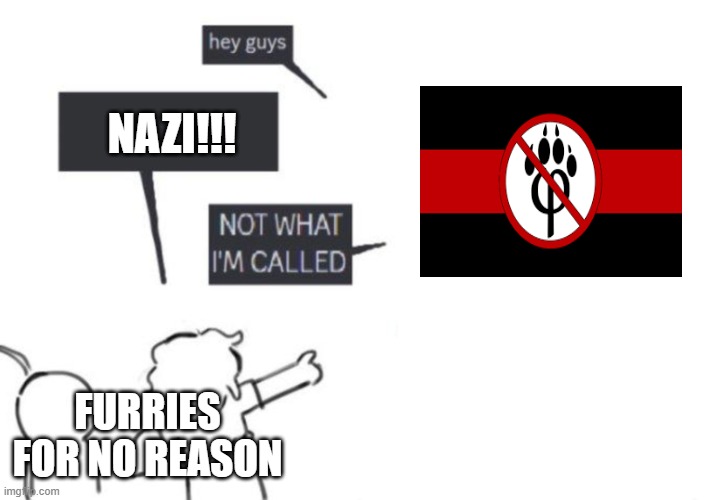 lol | NAZI!!! FURRIES FOR NO REASON | image tagged in hey guys - not what i'm called | made w/ Imgflip meme maker
