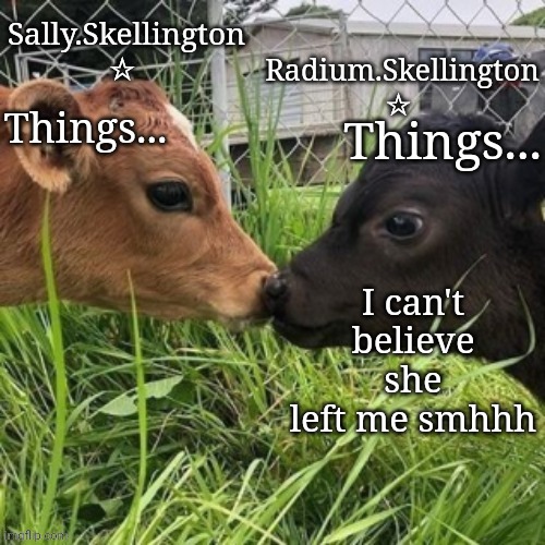 Radium and Sally temp | I can't believe she left me smhhh | image tagged in radium and sally temp | made w/ Imgflip meme maker