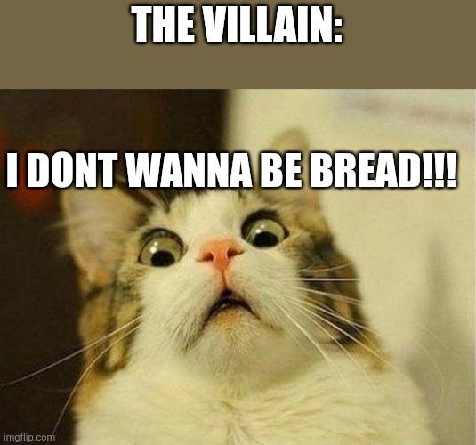Scared Cat Meme | THE VILLAIN: I DONT WANNA BE BREAD!!! | image tagged in memes,scared cat | made w/ Imgflip meme maker