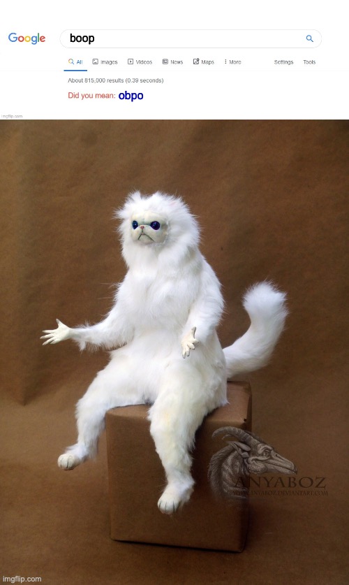 Bro wtf is Goggle doing | boop; obpo | image tagged in did you mean,memes,persian cat room guardian single | made w/ Imgflip meme maker