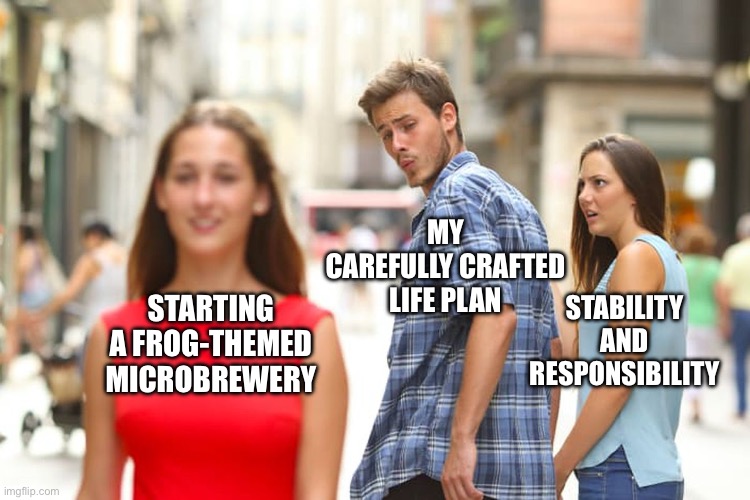 Frog micro-brewery | MY CAREFULLY CRAFTED LIFE PLAN; STABILITY AND RESPONSIBILITY; STARTING A FROG-THEMED MICROBREWERY | image tagged in memes,distracted boyfriend | made w/ Imgflip meme maker