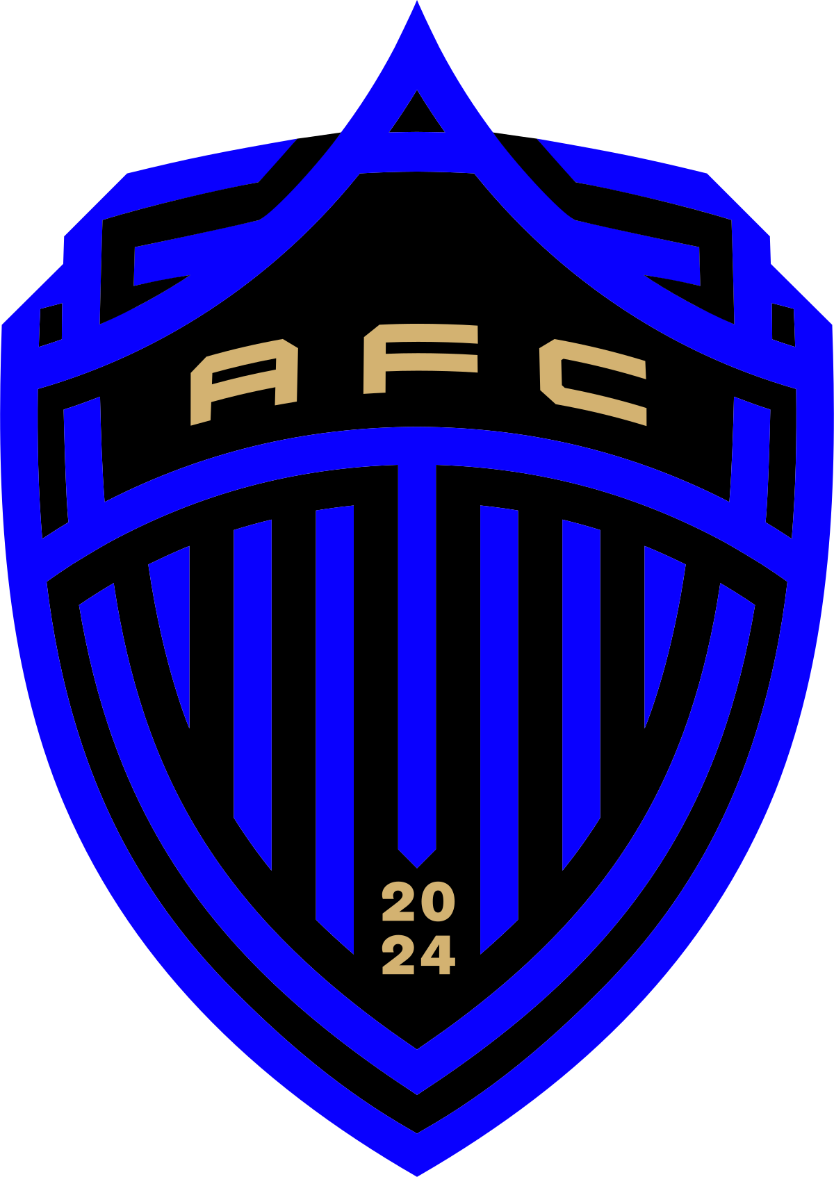 Auckland FC black knights Blank Meme Template