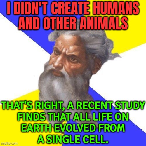 I Didn't Create Humans And Other Animals | I DIDN'T CREATE HUMANS
AND OTHER ANIMALS; THAT'S RIGHT, A RECENT STUDY
FINDS THAT ALL LIFE ON
EARTH EVOLVED FROM
A SINGLE CELL. | image tagged in advice god,anti-religion,god religion universe,human evolution,evolution,religion | made w/ Imgflip meme maker