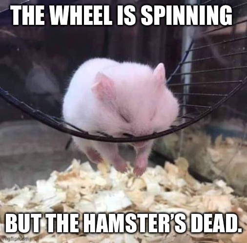 Sleeping Hamster on a Wheel | THE WHEEL IS SPINNING; BUT THE HAMSTER’S DEAD. | image tagged in sleeping hamster on a wheel | made w/ Imgflip meme maker