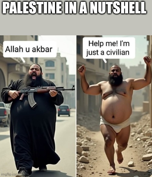 stop pretending | PALESTINE IN A NUTSHELL | image tagged in palestine,muslim,suicide bomber,politics | made w/ Imgflip meme maker
