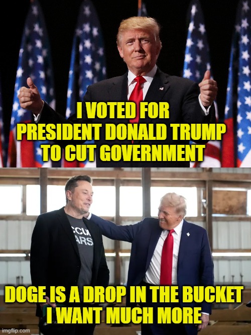 Do the job or leave! | I VOTED FOR
PRESIDENT DONALD TRUMP 
TO CUT GOVERNMENT; DOGE IS A DROP IN THE BUCKET
I WANT MUCH MORE | image tagged in government corruption | made w/ Imgflip meme maker