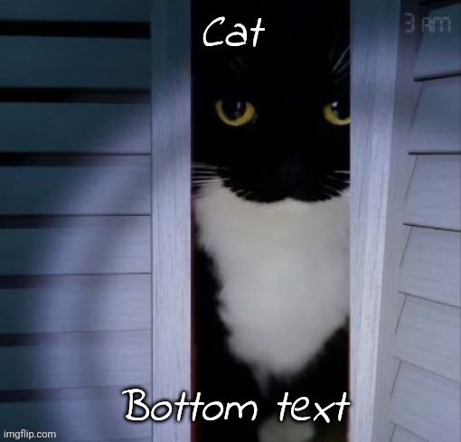 Cat | Cat; Bottom text | image tagged in 3,cats,cat,upvote,please,idk what to put here | made w/ Imgflip meme maker
