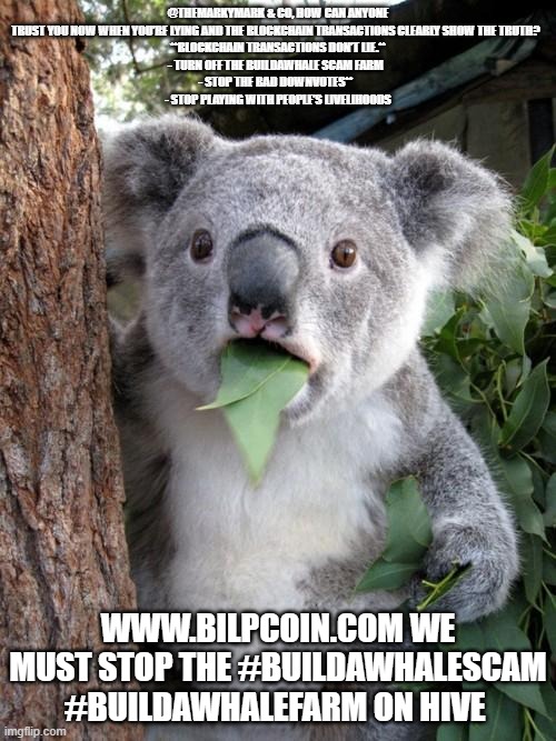 Surprised Koala Meme | @THEMARKYMARK & CO, HOW CAN ANYONE TRUST YOU NOW WHEN YOU’RE LYING AND THE BLOCKCHAIN TRANSACTIONS CLEARLY SHOW THE TRUTH?  
**BLOCKCHAIN TRANSACTIONS DON’T LIE.**
- TURN OFF THE BUILDAWHALE SCAM FARM  
- STOP THE BAD DOWNVOTES**  
- STOP PLAYING WITH PEOPLE’S LIVELIHOODS; WWW.BILPCOIN.COM WE MUST STOP THE #BUILDAWHALESCAM #BUILDAWHALEFARM ON HIVE | image tagged in memes,surprised koala | made w/ Imgflip meme maker