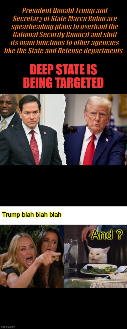 They'll be Mad .. Get rid of the Lets start a war first Guys  LSAWG | President Donald Trump and Secretary of State Marco Rubio are spearheading plans to overhaul the National Security Council and shift its main functions to other agencies like the State and Defense departments. DEEP STATE IS BEING TARGETED; Trump blah blah blah; And ? | image tagged in memes,woman yelling at cat | made w/ Imgflip meme maker