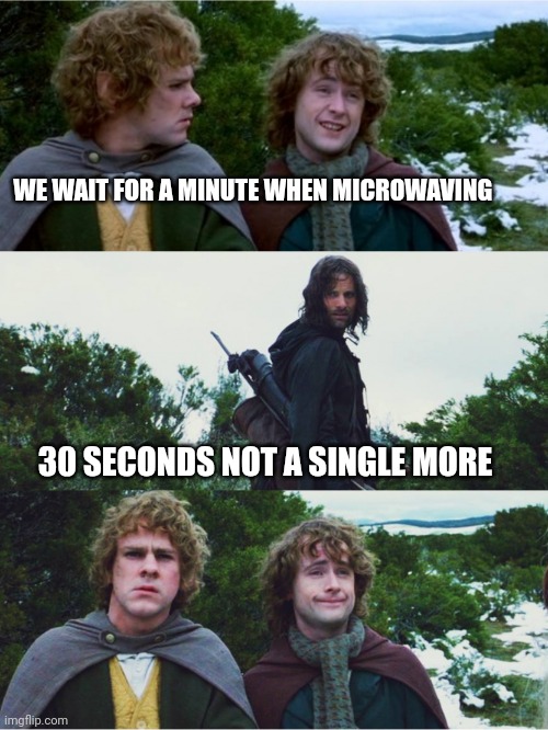 WE WAIT FOR A MINUTE WHEN MICROWAVING 30 SECONDS NOT A SINGLE MORE | image tagged in what about second breakfast | made w/ Imgflip meme maker