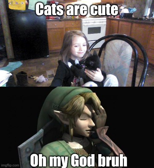 Another day in the Secret Life of Link | Cats are cute; Oh my God bruh | image tagged in girl hugging cat,link facepalm,the legend of zelda,memes,fun,funny memes | made w/ Imgflip meme maker