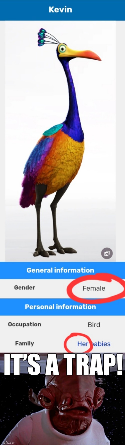 Kevin from Up is a pixar Trap! | image tagged in it's a trap,memes,femboy,kevin,disney,pixar | made w/ Imgflip meme maker