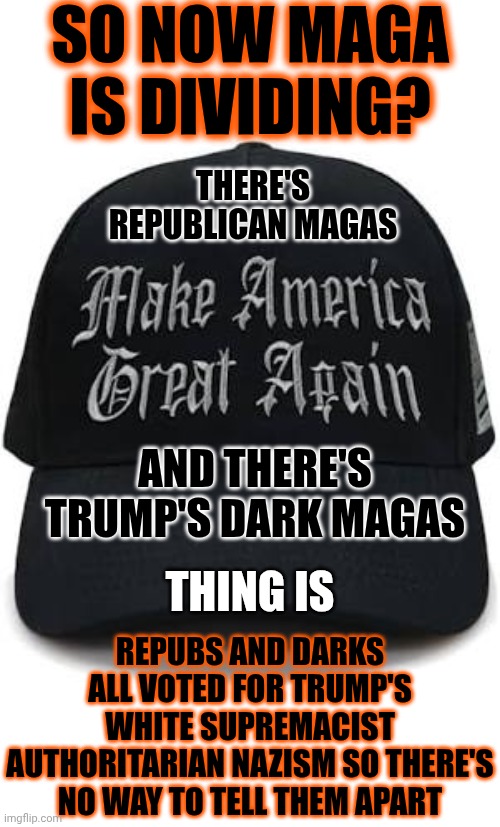 No One Can See The Light When They Live In The Dark | SO NOW MAGA IS DIVIDING? THERE'S REPUBLICAN MAGAS; AND THERE'S TRUMP'S DARK MAGAS; REPUBS AND DARKS ALL VOTED FOR TRUMP'S WHITE SUPREMACIST AUTHORITARIAN NAZISM SO THERE'S NO WAY TO TELL THEM APART; THING IS | image tagged in memes,maga,wake up,dark maga,trump is a convicted rapist,all maga is dark | made w/ Imgflip meme maker