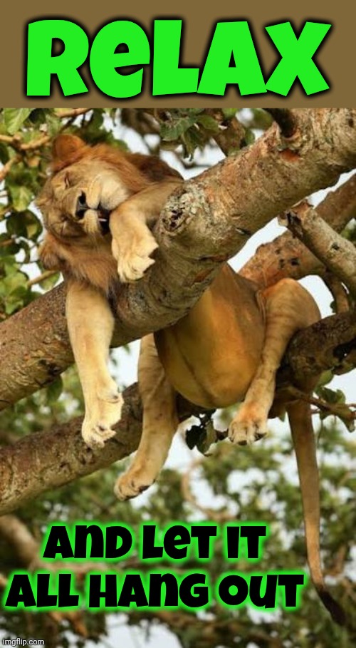 This Lion Is My Spirit Animal. lol | Relax; And let it all hang out | image tagged in memes,let it all hang out,the lion king,dandelion,lol,that's just silly cat | made w/ Imgflip meme maker