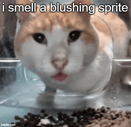 Mr Shock stare | i smell a blushing sprite | image tagged in mr shock stare | made w/ Imgflip meme maker