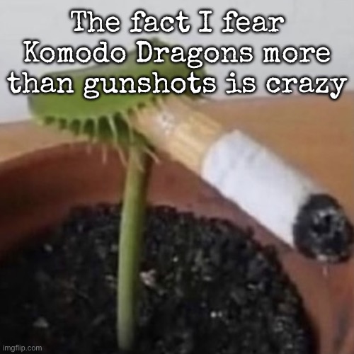 plant weeds | The fact I fear Komodo Dragons more than gunshots is crazy | image tagged in plant weeds,msmg | made w/ Imgflip meme maker