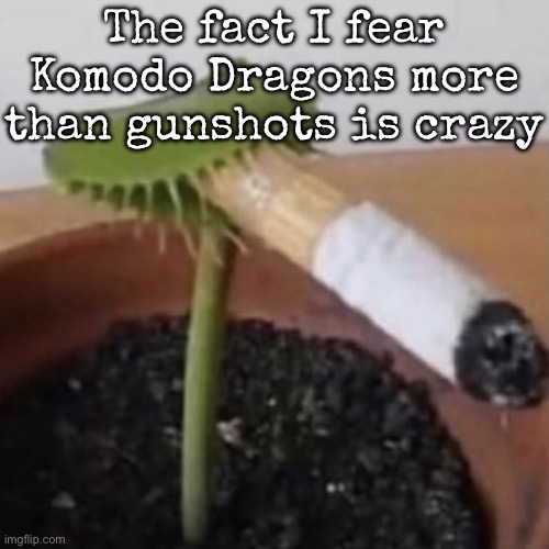 Weed | The fact I fear Komodo Dragons more than gunshots is crazy | image tagged in plant weeds | made w/ Imgflip meme maker
