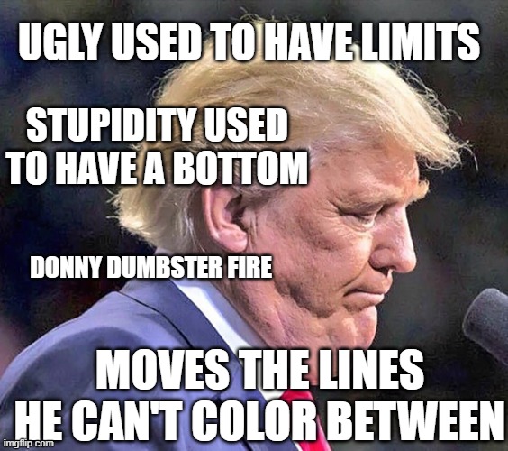 Stupid Ugly Trump the epic LOSER | UGLY USED TO HAVE LIMITS; STUPIDITY USED TO HAVE A BOTTOM; DONNY DUMBSTER FIRE; MOVES THE LINES HE CAN'T COLOR BETWEEN | image tagged in ugly trump picture 2 | made w/ Imgflip meme maker