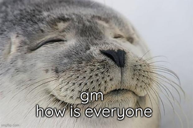 Hii | gm 
how is everyone | image tagged in memes,satisfied seal | made w/ Imgflip meme maker