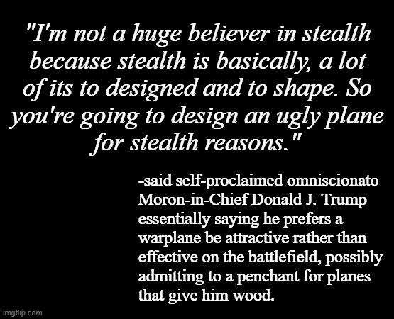 "Ummm.. what?" *OR* "Not tryna to yuck your yum but uhhh..." *OR* "What is wrong with you?!" | "I'm not a huge believer in stealth
because stealth is basically, a lot
of its to designed and to shape. So
you're going to design an ugly plane
for stealth reasons."; -said self-proclaimed omniscionato
Moron-in-Chief Donald J. Trump
essentially saying he prefers a
warplane be attractive rather than
effective on the battlefield, possibly
admitting to a penchant for planes
that give him wood. | image tagged in trump unfit unqualified dangerous,moron,warplane,wood | made w/ Imgflip meme maker
