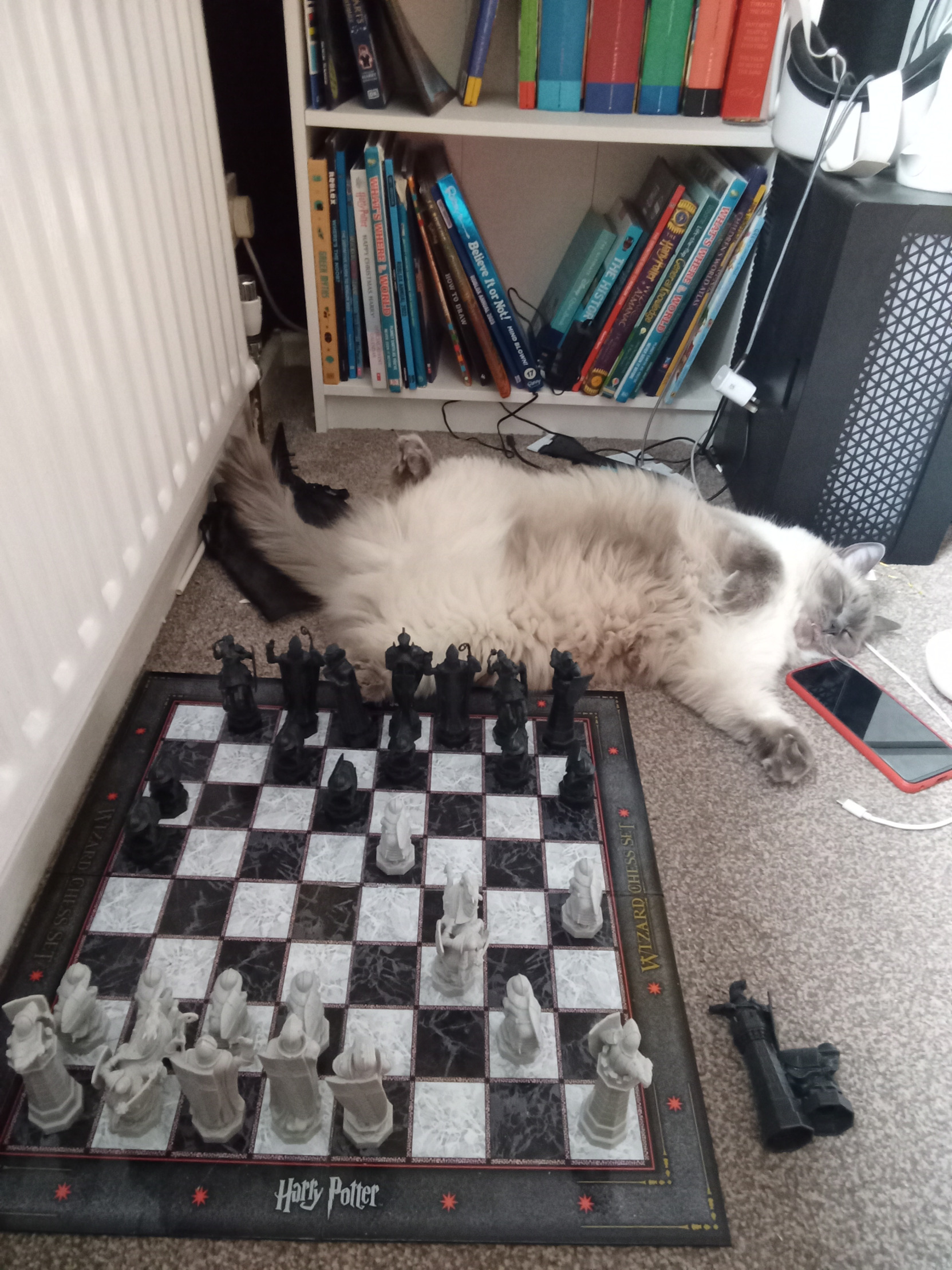 Cat in front of Chess board Blank Meme Template