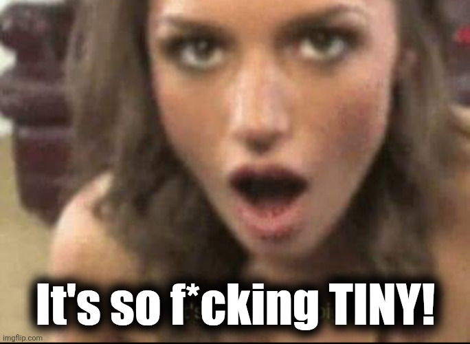 It's so big | It's so f*cking TINY! | image tagged in it's so big | made w/ Imgflip meme maker