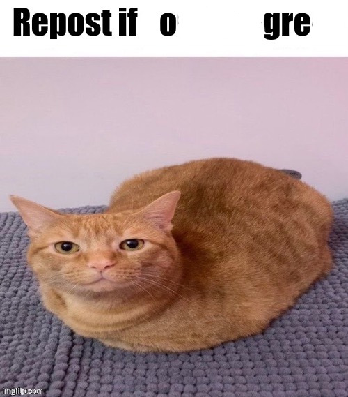 Repost if you disagree | image tagged in repost if you disagree | made w/ Imgflip meme maker