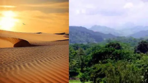Desert vs nature Blank Meme Template