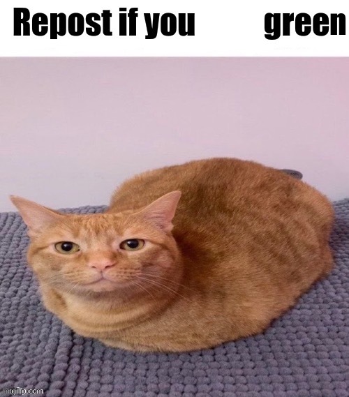 Repost if you disagree | n | image tagged in repost if you disagree | made w/ Imgflip meme maker