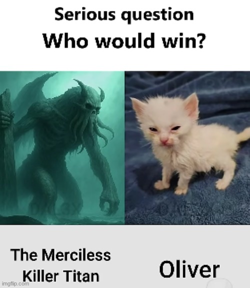 :3 | image tagged in maur,ultrakill,oliver,cat | made w/ Imgflip meme maker
