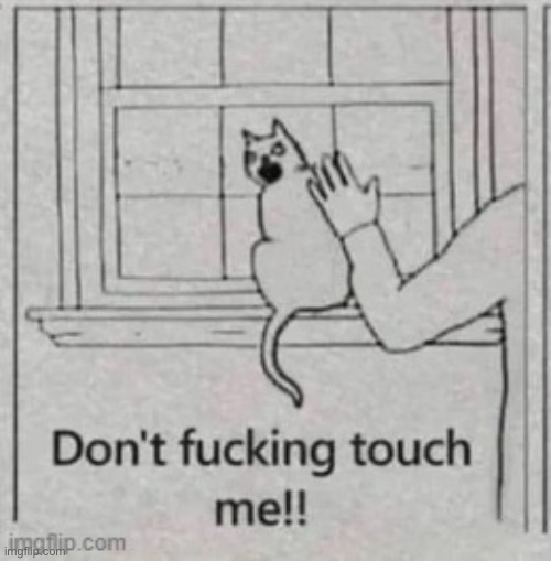 THE CAT'S FACE IS KILLING ME LMAOOOOOO | made w/ Imgflip meme maker