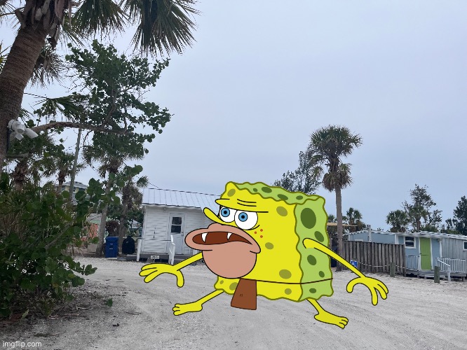 SpongeBob spotted on land | image tagged in spongebob,day at the beach | made w/ Imgflip meme maker