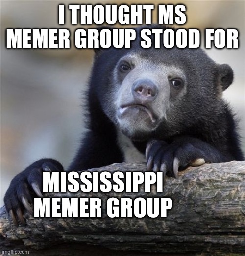 Uh I’m dum | I THOUGHT MS MEMER GROUP STOOD FOR; MISSISSIPPI MEMER GROUP | image tagged in memes,confession bear | made w/ Imgflip meme maker