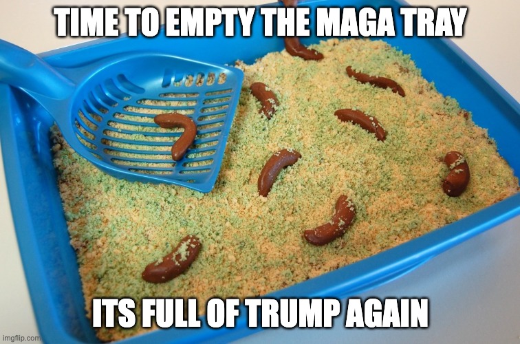full of trump | TIME TO EMPTY THE MAGA TRAY; ITS FULL OF TRUMP AGAIN | image tagged in kitty litter cake | made w/ Imgflip meme maker