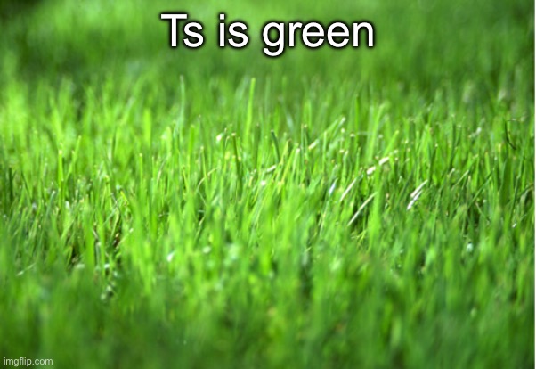 Js an fyi | Ts is green | image tagged in grass is greener | made w/ Imgflip meme maker