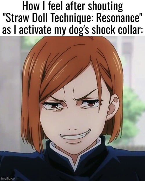 Couldn't find a better nobara image on here | How I feel after shouting "Straw Doll Technique: Resonance" as I activate my dog's shock collar: | image tagged in nobara,how i feel | made w/ Imgflip meme maker