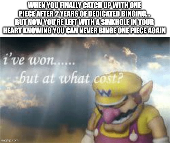 I feel so empty now… | WHEN YOU FINALLY CATCH UP WITH ONE PIECE AFTER 2 YEARS OF DEDICATED BINGING… BUT NOW YOU’RE LEFT WITH A SINKHOLE IN YOUR HEART KNOWING YOU CAN NEVER BINGE ONE PIECE AGAIN | image tagged in i've won but at what cost | made w/ Imgflip meme maker