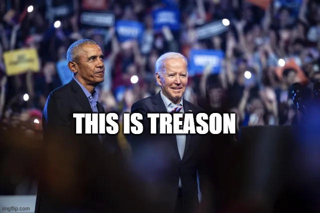Dingle Barry and Geritol Joe | THIS IS TREASON | image tagged in dingle barry and geritol joe | made w/ Imgflip meme maker
