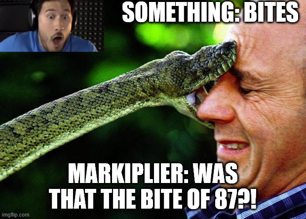 Bite Me | SOMETHING: BITES; MARKIPLIER: WAS THAT THE BITE OF 87?! | image tagged in bite me | made w/ Imgflip meme maker