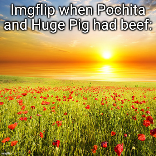thigh sloberer | Imgflip when Pochita and Huge Pig had beef: | image tagged in beautiful day,pochita,thehugepig,funny,imgflip,sunny | made w/ Imgflip meme maker