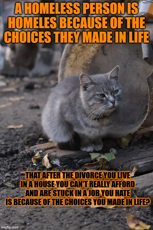This #lolcat wonders if everyone is responsible for their own situation | A HOMELESS PERSON IS HOMELES BECAUSE OF THE CHOICES THEY MADE IN LIFE; THAT AFTER THE DIVORCE YOU LIVE IN A HOUSE YOU CAN'T REALLY AFFORD AND ARE STUCK IN A JOB YOU HATE
IS BECAUSE OF THE CHOICES YOU MADE IN LIFE? | image tagged in lolcat,homeless,responsibility,privilege | made w/ Imgflip meme maker