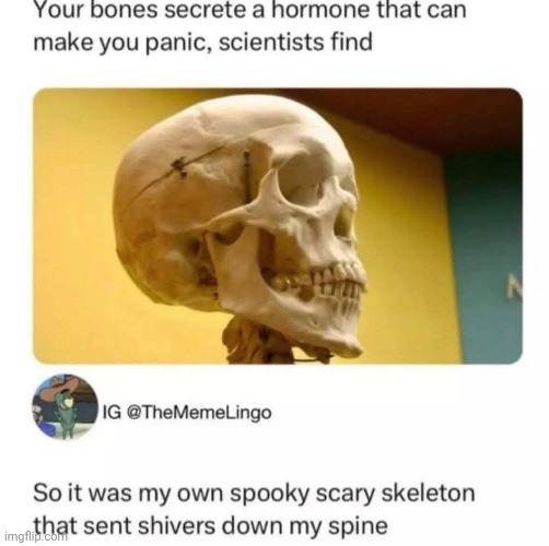 Spooky Scary Skeletons | image tagged in memes,funny,skeleton | made w/ Imgflip meme maker