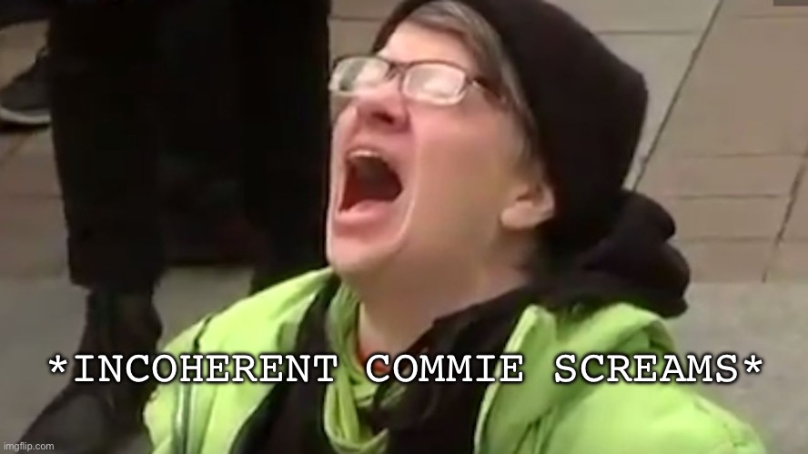 Noise pollution | *INCOHERENT COMMIE SCREAMS* | image tagged in screaming liberal,noise,lol | made w/ Imgflip meme maker