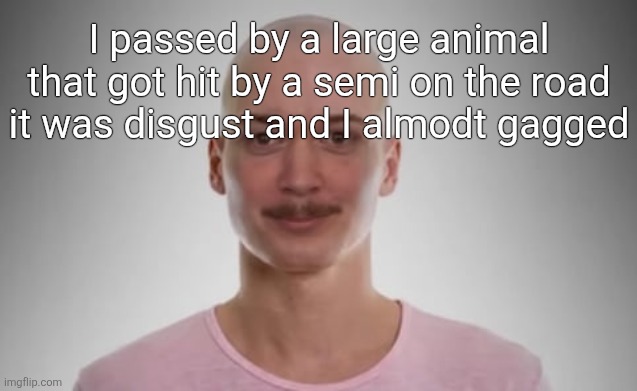 Bald Jimmyhere | I passed by a large animal that got hit by a semi on the road it was disgust and I almodt gagged | image tagged in bald jimmyhere | made w/ Imgflip meme maker