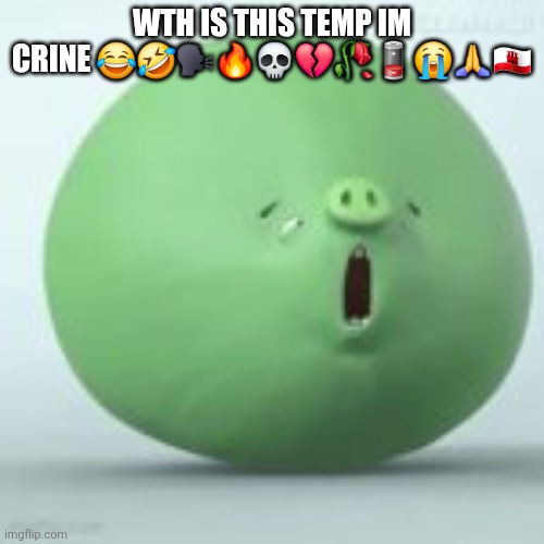 bruh | WTH IS THIS TEMP IM CRINE 😂🤣🗣🔥💀💔🥀🪫😭🙏🇬🇮 | image tagged in angry birds pig | made w/ Imgflip meme maker