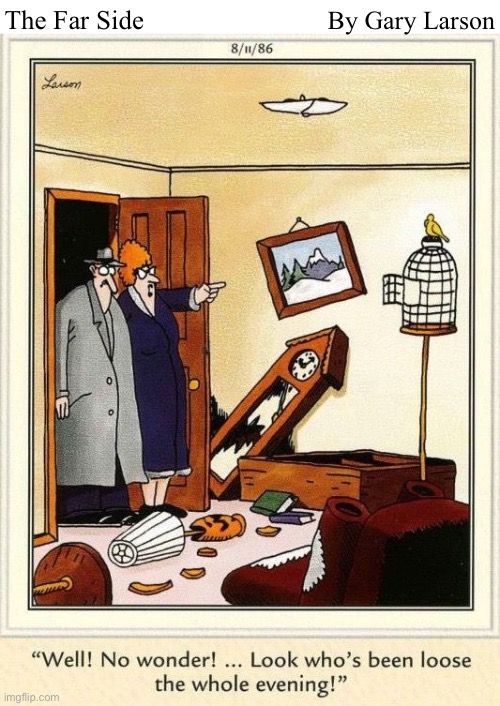 By Gary Larson; The Far Side | image tagged in comics,the far side,ransacked,bird | made w/ Imgflip meme maker