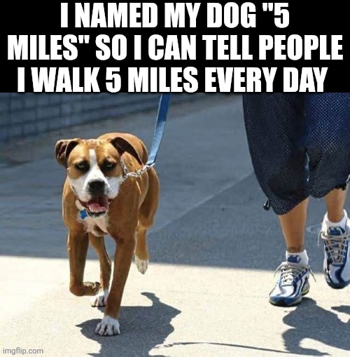 I Named My Dog 5 Miles So I Can Tell People I Walk 5 Miles Every Day | I NAMED MY DOG "5 MILES" SO I CAN TELL PEOPLE I WALK 5 MILES EVERY DAY | image tagged in chrisjoines1 | made w/ Imgflip meme maker