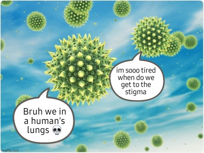 based off the sperm conversation meme | image tagged in pollen | made w/ Imgflip meme maker